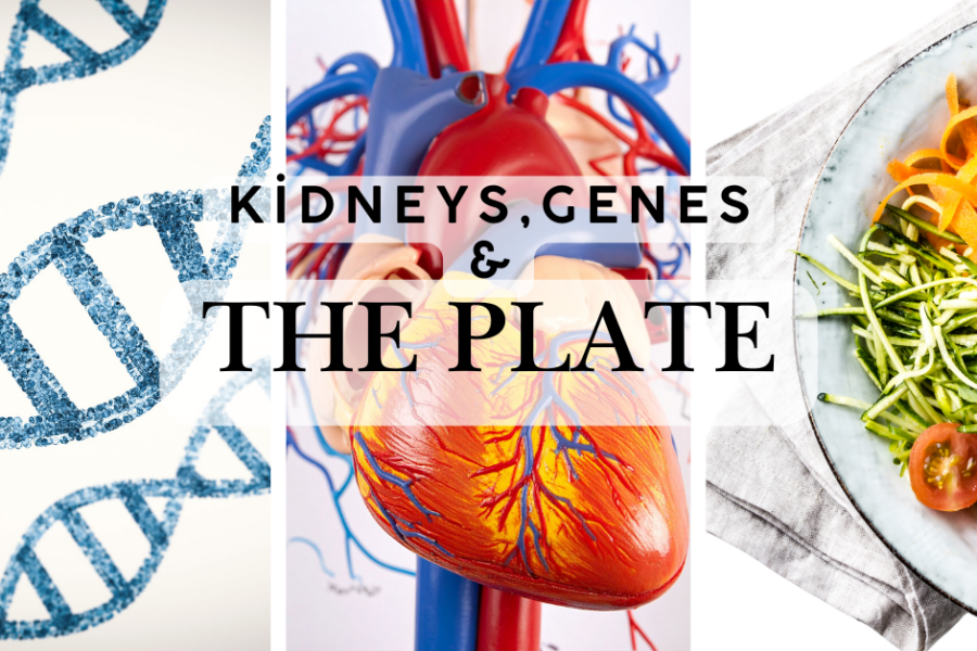 DNA strand, heart, lungs and vessels, bowl with colorful vegetables